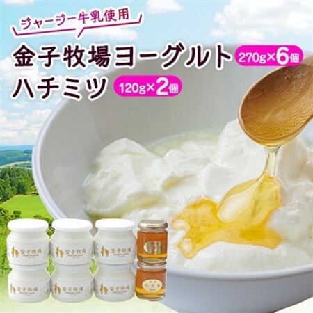 金子牧場ヨーグルト、ハチミツセット【配送不可地域：離島】【1022679】