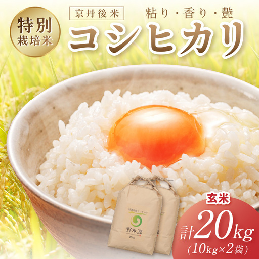 2026年産 京丹後米 特別栽培米コシヒカリ 20kg（玄米）