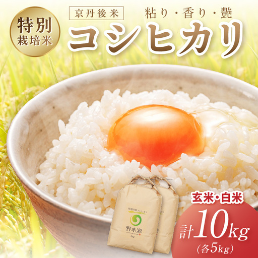 2026年産 京丹後米 特別栽培米コシヒカリ 玄米・白米 各5kg 白米 玄米 ふるさと納税 米 精米 お米 ご飯 ごはん コシヒカリ 京丹後産