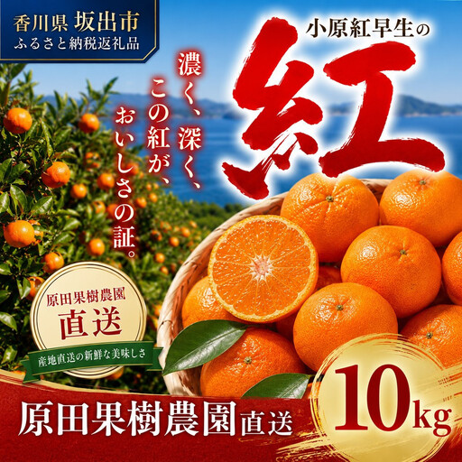 原田果樹農園直送！ 小原紅早生みかん 約10kg（S~Mサイズ混合）数量限定