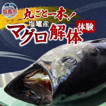 塩竈産マグロ解体体験!丸ごと1本食べつくそう! | gt00001 塩竈市 塩竈