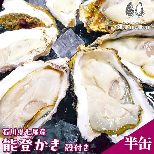 飛田水産 石川県七尾産 能登かき 殻付き半缶 | 牡蠣 魚介類 訳あり 生活応援価格 ご家庭用 復興支援 ※要加熱 ※2027年1月〜発送