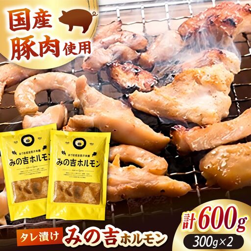 みの吉ホルモン 計600g（300g×2パック）《厚真町》【有限会社市原精肉店】 ほるもん ミノ 豚肉 焼肉 BBQ 味付き 味付きホルモン 味付けホルモン 小分け 冷凍 北海道[AXAA031]