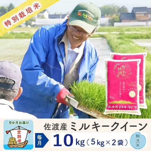 無洗米 10kg | 新潟県 佐渡市 ミルキークイーン 無洗米