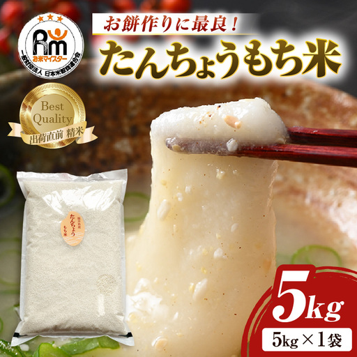 【令和7年産】たんちょうもち米 5kg 精米 ≪希少！お餅作りに最良≫ ／ 餅 タンチョウ 餅つき 丸餅 柏餅 [aw064-a021]