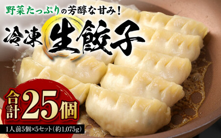 冷凍生餃子(1人前5個)×5セット / ぎょうざ ギョーザ 手作り ヘルシー 東京都