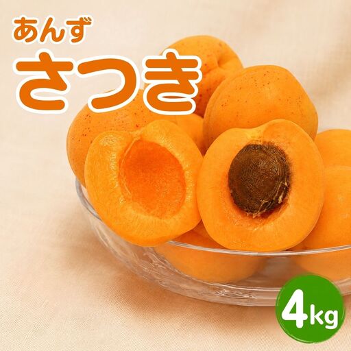 【2027年先行予約】あんず さつき(長野県オリジナル品種) 約4kg バラ詰 |あんず 長野県産 千曲市  信州