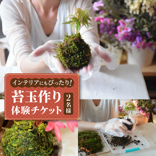 インテリアにもピッタリ！苔玉作り体験チケット