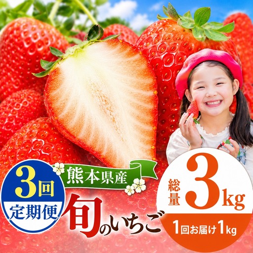 【定期便3回】 旬のいちご 約1000g