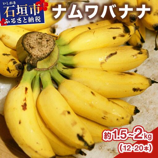 石垣島産 希少な国産『ナムワバナナ』を贅沢に1房丸ごと約1.5-2kg（12-20本） TF-102_R8