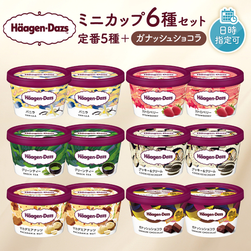 ハーゲンダッツ 『ミニカップ12個 定番＆ガナッシュショコラ』 アイスクリーム アイス_H0016-1141