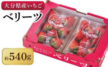 化粧箱入り ベリーツ 約540g 【2027年2月下旬-3月下旬発送】