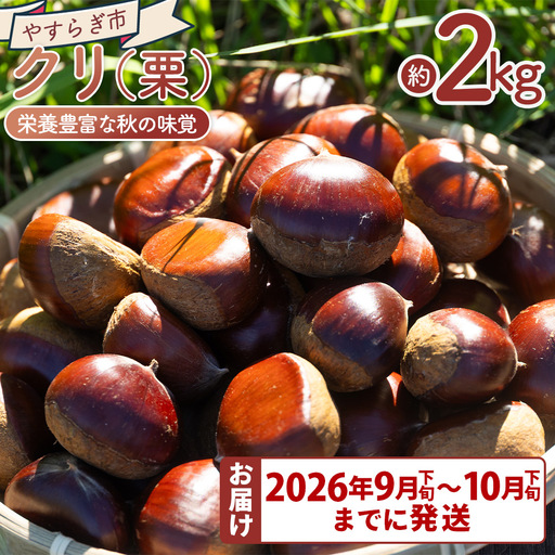 栗 2袋（２kg） 栗 yr-0103