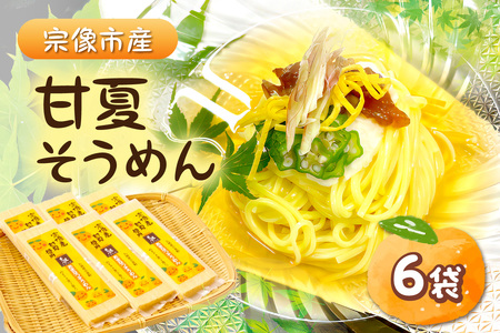 [道の駅むなかた]宗像市産甘夏そうめん 6袋セット