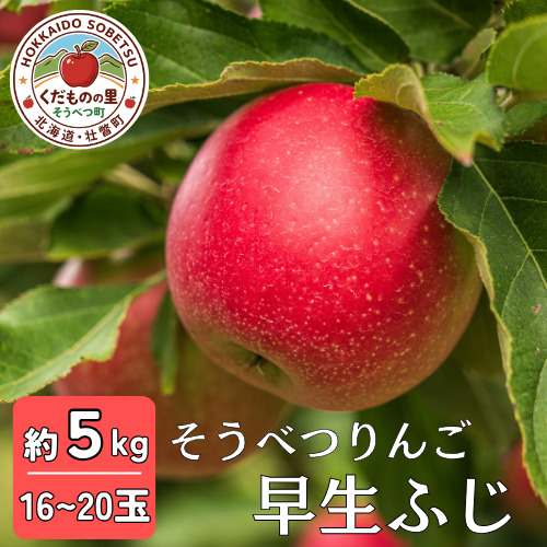 【先行予約】 早生ふじ 約5kg 2026年10月中旬頃～発送予定 SBTB012