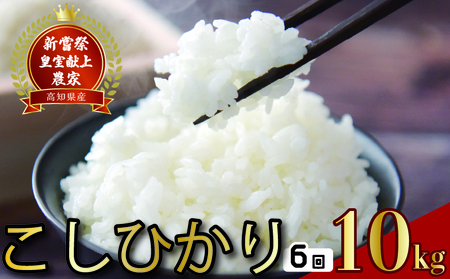 [令和8年産] こしひかり 10kg×6回 こしひかり 新米 精米