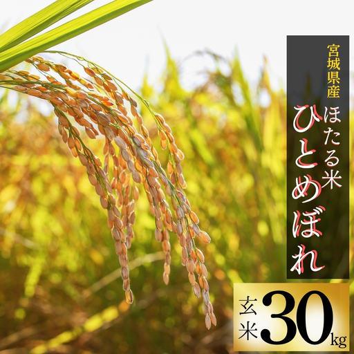 【先行予約】【令和8年産】【新米】【令和8年10月中旬～順次発送】ほたる米 ひとめぼれ 玄米 30kg 特別栽培米 宮城県産 お米 ごはん 米 朝ごはん こめ コメ オンラインワンストップ 対応 自治体マイページ 宮城県 みずほファーミング