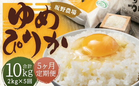 【5ヶ月定期便】らんこし米 ゆめぴりか 2kg【2024年9月下旬発送開始予定】