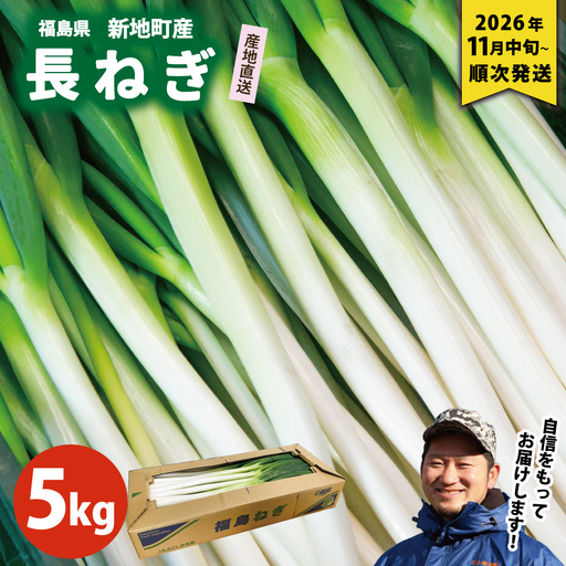 新地町産 長ネギ 約5kg 1箱 | 野菜 やさい 食品 人気 おすすめ 送料無料 ねぎ ネギ 葱 長ねぎ お取り寄せ 福島県 新地町 白ねぎ 鍋