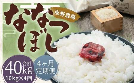 【4ヶ月定期便】らんこし米 ななつぼし 10kg(5kg×2袋)【2024年9月下旬発送開始予定】