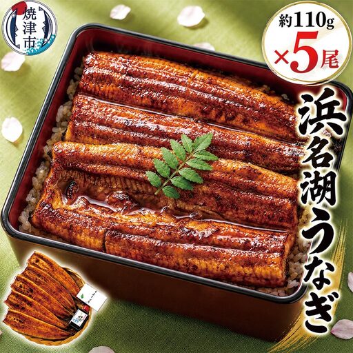 浜名湖うなぎ蒲焼5尾 (a30-308)