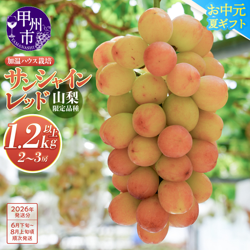 クール配送[お中元対応]山梨県限定品種 サンシャインレッド 合計1.2kg以上[2026年発送](MS)F-111 サンシャインレッド フルーツ