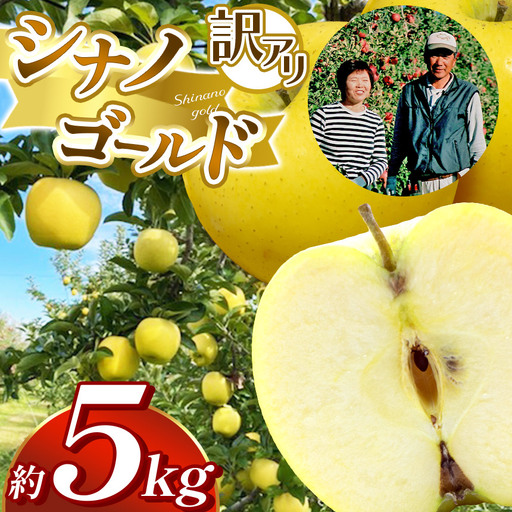 【先行受付】訳アリ　シナノゴールド　5kg　（14～18玉）