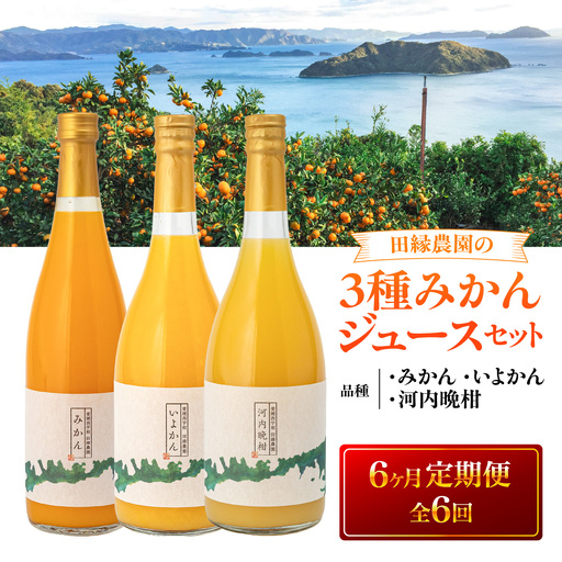 【6ヶ月定期便】田縁農園 3種みかんジュース（みかん いよかん 河内晩柑）セット 全6回 IKTA050