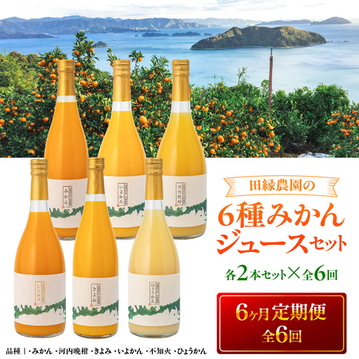 【6ヶ月定期便】田縁農園 6種みかんジュースセット 各2本セット×全6回 みかん いよかん 河内晩柑 不知火 きよみ ひょうかん IKTA051