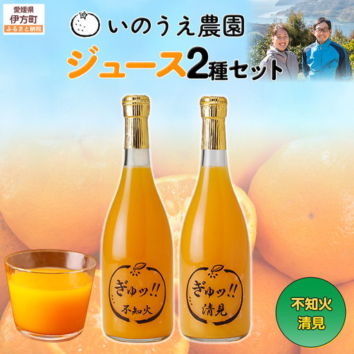 いのうえ農園 ジュース2種セット（不知火/清見）※離島への配送不可 IKTAI022