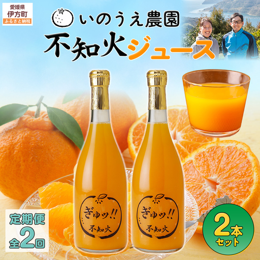 【定期便】いのうえ農園 不知火ジュース2本セット 全2回※離島への配送不可 IKTAI027