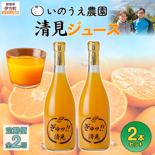 【定期便】いのうえ農園 清見ジュース2本セット 全2回※離島への配送不可 IKTAI029