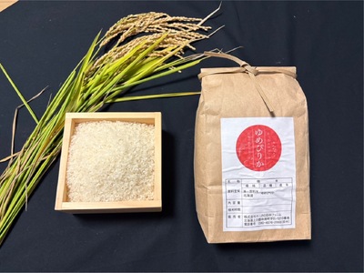 〈令和7年産〉ゆめぴりか 北海道 和寒町 10kg（5kg×2） 精米 米 お米 北海道米 おこめ わっさむのおこめ