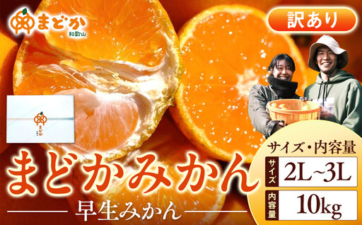 ［先行予約］［訳あり］秋採れみかん（早生みかん）2L〜3Lサイズ混合 10kg＋500g（傷み補償分）［2026年11月上旬より発送］