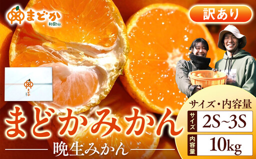 ［先行予約］［訳あり］蔵出しみかん（晩生みかん）2S〜3Sサイズ混合 10kg＋500g（傷み補償分）［2027年1月上旬より発送］