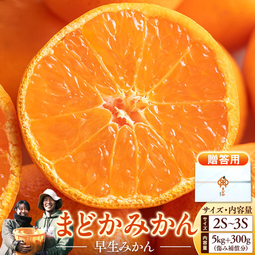 ［先行予約］［贈答用］秋採れみかん（早生みかん）2S〜3Sサイズ混合 5kg＋300g（傷み補償分）［2026年11月上旬より発送］