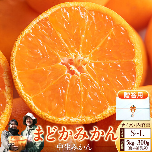 ［先行予約］［贈答用］冬採れみかん（中生みかん）S〜Lサイズ混合 5kg＋300g（傷み補償分）［2026年11月下旬より発送］