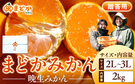 [先行予約][贈答用]蔵出しみかん(晩生みかん)2L〜3Lサイズ混合 2kg+200g(傷み補償分)[2027年1月上旬より発送]