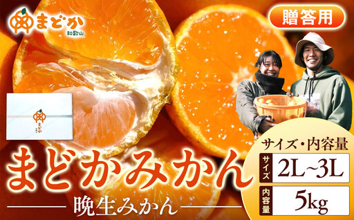 ［先行予約］［贈答用］蔵出しみかん（晩生みかん）2L〜3Lサイズ混合 5kg＋300g（傷み補償分）［2027年1月上旬より発送］
