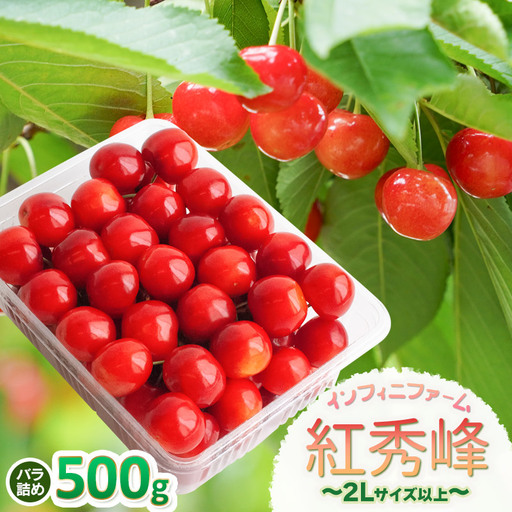 [令和9年産]さくらんぼ 紅秀峰 バラ詰め 500g(2Lサイズ〜) 山形県鶴岡産 インフィニファーム K-948