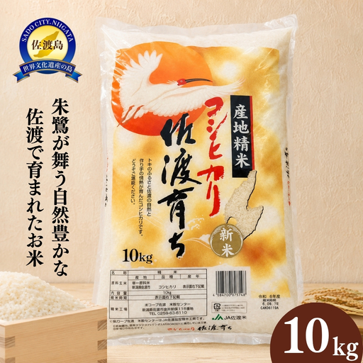 「令和7年産」佐渡育ち 10kg