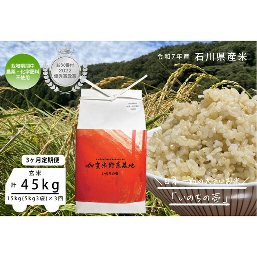 【3ヶ月定期便】【お米番付優秀賞受賞農家】日本一粒の大きいお米『いのちの壱』玄米15kg×3回