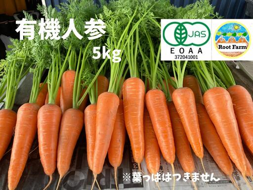 Root Farmの冬季限定 有機JAS認証の人参約5kg_Z2600467