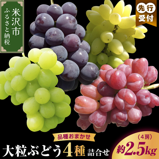 【先行予約】【数量限定】【令和8年産】大粒 ぶどう 詰合せ 4種類 2.5kg 4房 品種おまかせ 2026年9月15日～9月30日頃お届け予定