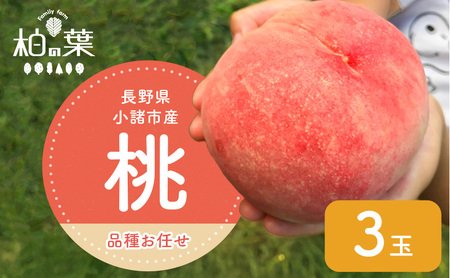 【2027年発送先行予約】　長野県小諸市産　朝採れ　特選大玉桃　3玉（約1kg）【Family farm 柏の葉】