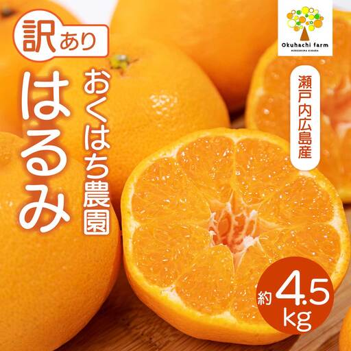 〈訳あり〉 はるみ 4.5kg  《2027年2～3月発送予定》栽培期間中 防腐剤 ワックス 不使用 旬 おくはち農園 柑橘 かんきつ フルーツ 果物 瀬戸内 166008 