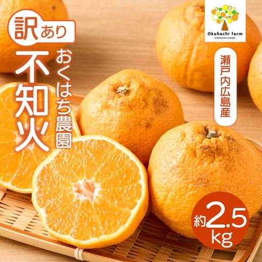 【おくはち農園】〈訳あり〉不知火 （しらぬい）2.5kg  《2027年3月～4月発送予定》栽培期間中 防腐剤 ワックス 不使用 旬 柑橘 かんきつ デコポン フルーツ 果物 瀬戸内 166009 
