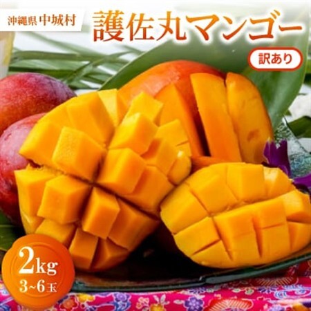 【2027年6月から順次発送・訳あり】護佐丸マンゴー2.0kg(3～6玉)【配送不可地域：離島】【1681755】
