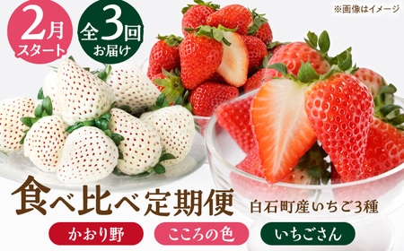 先行予約 2027年2月〜発送 【3回定期便】3種の食べ比べ定期便(2)  【StrawberryFarm-K】[IBJ031]