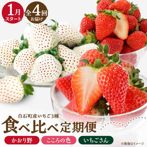 【先行予約 2027年1月～発送】【4回定期便】3種の食べ比べ定期便(3)  いちご